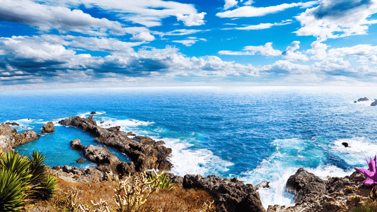 Discover the Enchanting Diversity of Tenerife: Your Next Destination Awaits! By Realax Properties