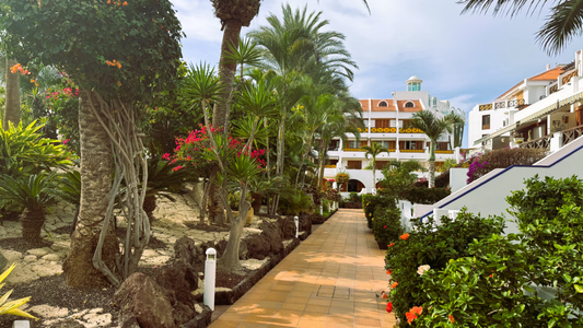 Vacation_Rental_in_Tenerife_The_Winning_Choice_for_Your_Property_money
