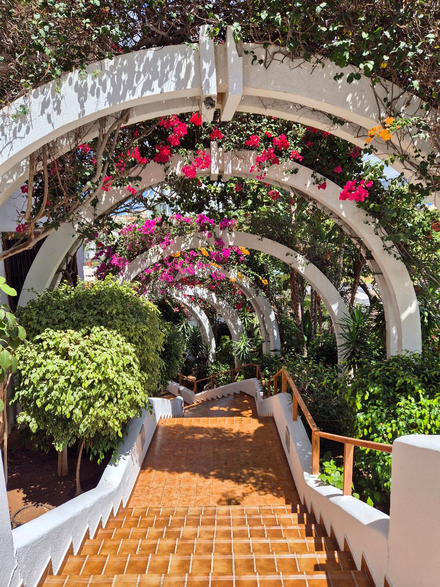 Costa Adeje Oceanfront Luxury Parque Royal Fanabe Entrance amazing gardens