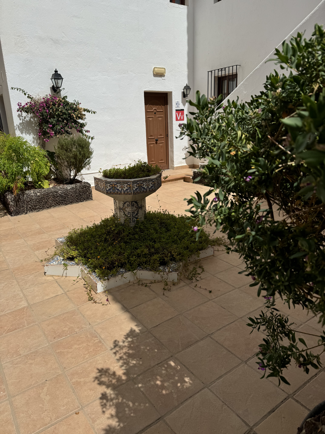 Cozy long term rent Amarilla Apartment Tenerife amazing gardens