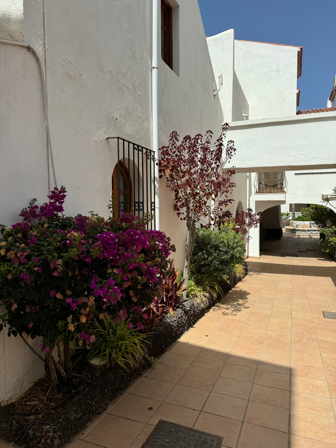 Cozy long term rent Amarilla Apartment Tenerife amazing gardens 2