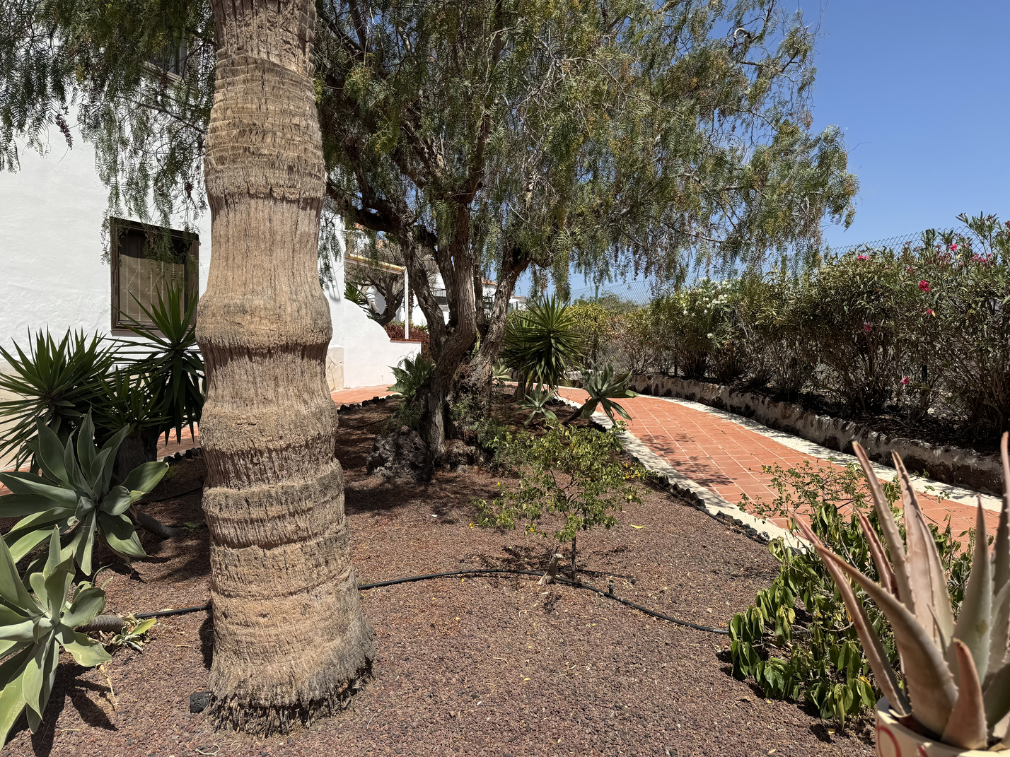 Golf Del Sur Comfortable Apartment nice terrace 3