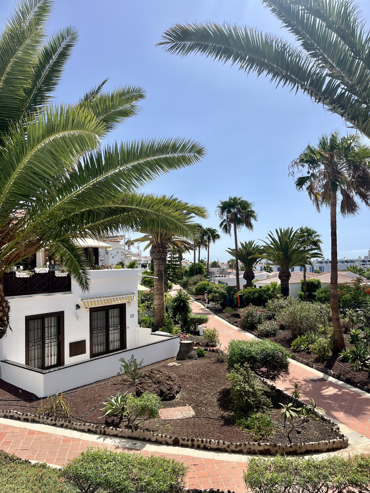 Magnificent Augusta Park Amarilla Golf Apartment outside 3