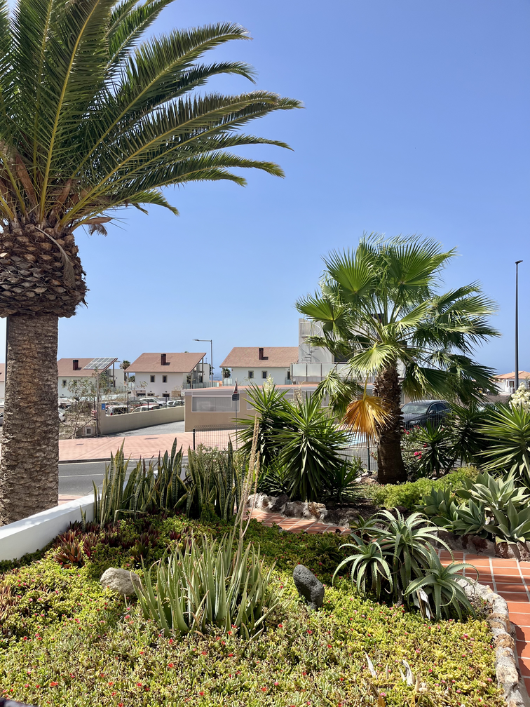 Magnificent Augusta Park Amarilla Golf Apartment outside 4