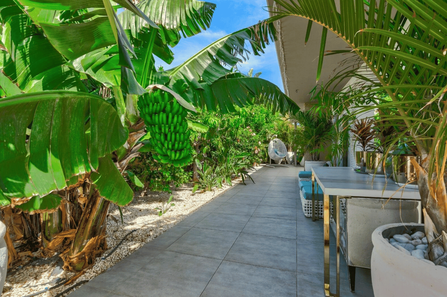 Torviscas_Alto_Luxury_4_bedroom_villa_tenerife_garden_bananas