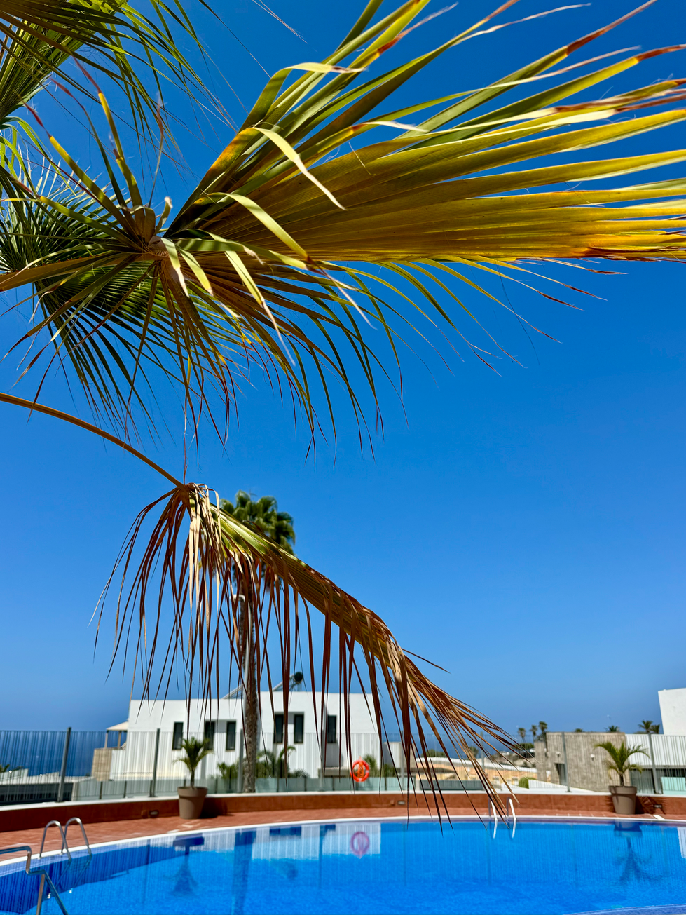 Costa_Adeje_Charming_Renovated_Apartment_complex_pool_sea_view_palm