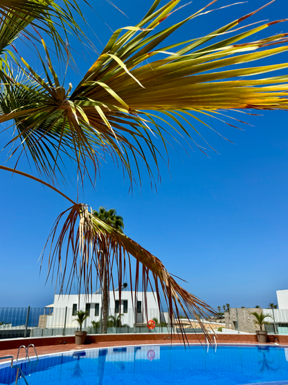 Costa_Adeje_Charming_Renovated_Apartment_complex_pool_sea_view_palm
