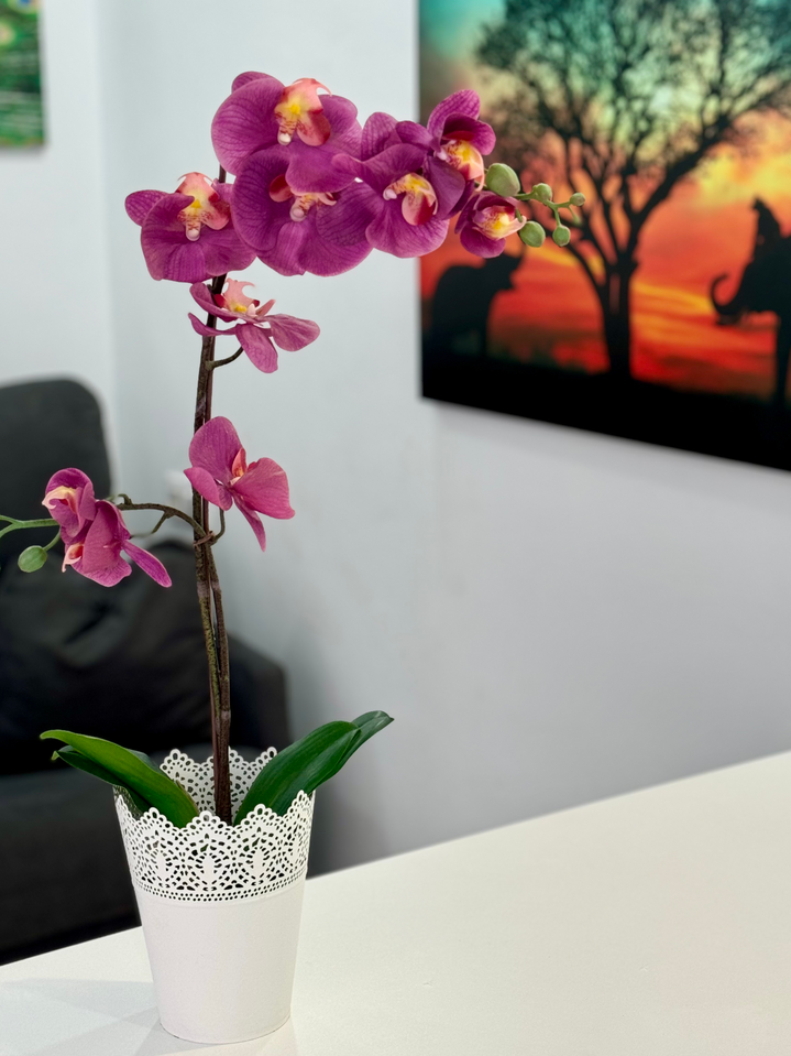 Costa_Adeje_Charming_Renovated_Apartment_living_room_fully_equipped_minimalist_flower