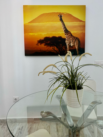 Costa_Adeje_Charming_Renovated_Apartment_living_room_glass_table