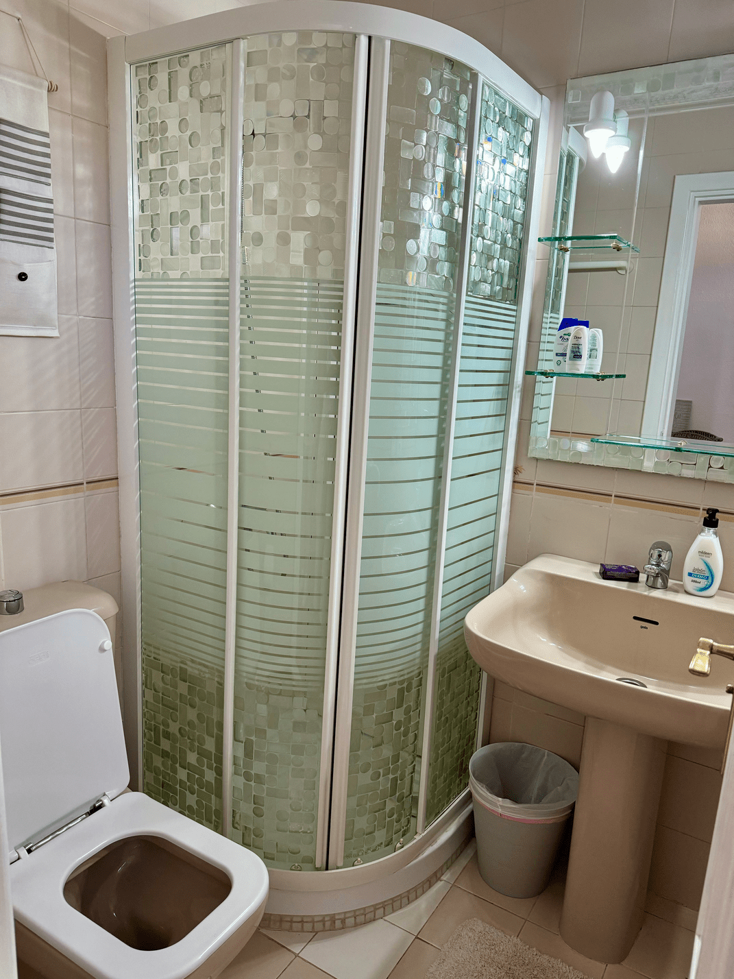 Fanabe_Stunning_Beachfront_Penthouse_Parque_Royal_Tenerife_bathroom_equipped_shower