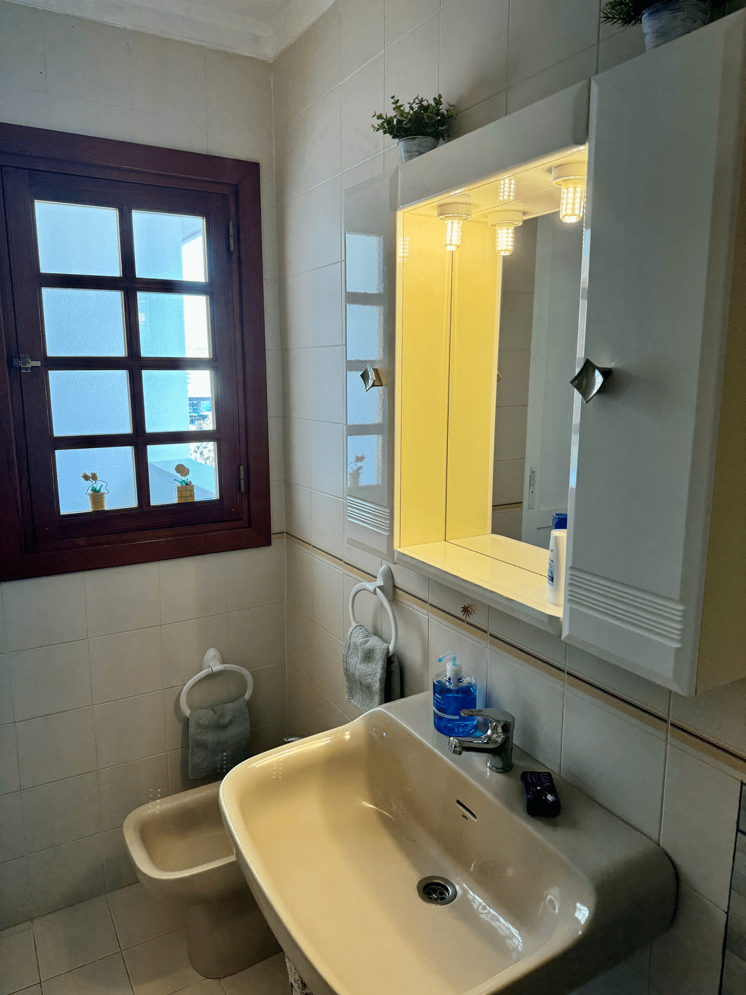 Fanabe_Stunning_Beachfront_Penthouse_Parque_Royal_Tenerife_bidet_bathroom