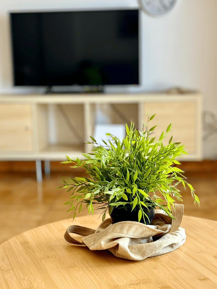 Fanabe_Stunning_Beachfront_Penthouse_Parque_Royal_Tenerife_living_room_plants