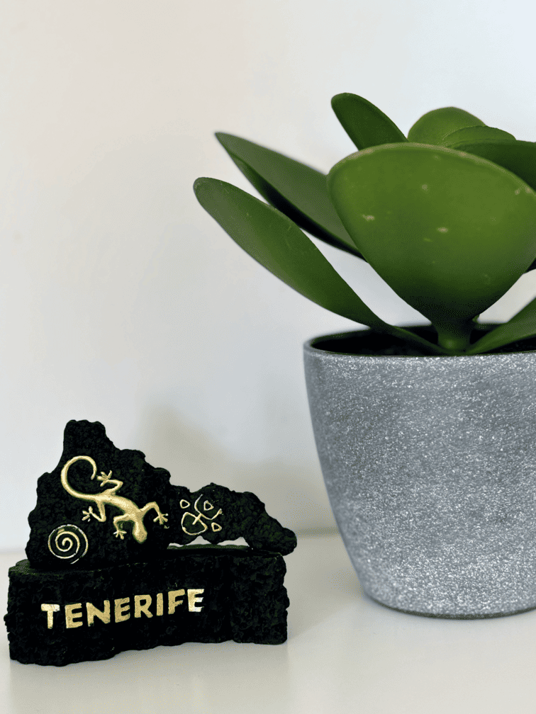 Heart_of_Las_Americas_Charming_Beach_Apartment_Tenerife_Aloe_Vera