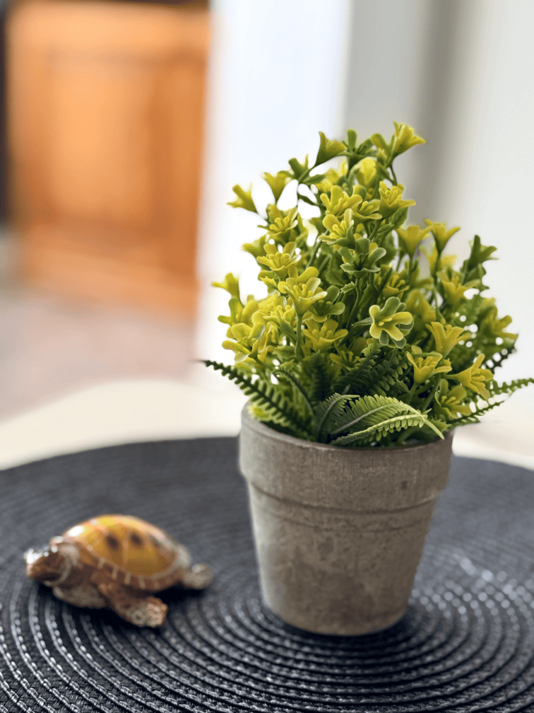 Heart_of_Las_Americas_Charming_Beach_Apartment_Tenerife_Porcelain_Turtle
