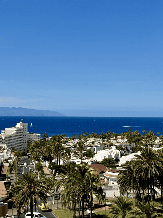Heart_of_Las_Americas_Charming_Beach_Apartment_Tenerife_View_La_Gomera