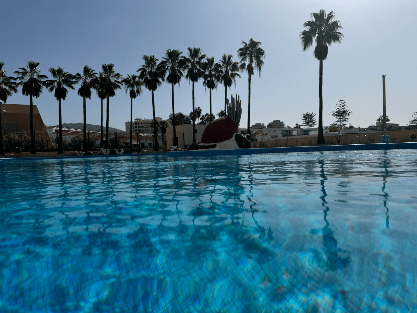 Las_Americas_Stunning_Apartment_Close_to_the_Sea_in_Tenerife_palms