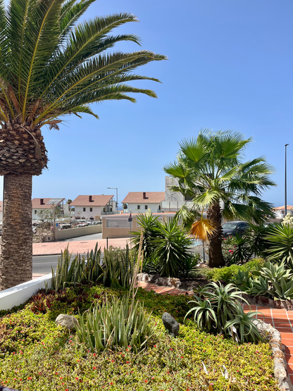 Magnificent Augusta Park Amarilla Golf Apartment outside 4