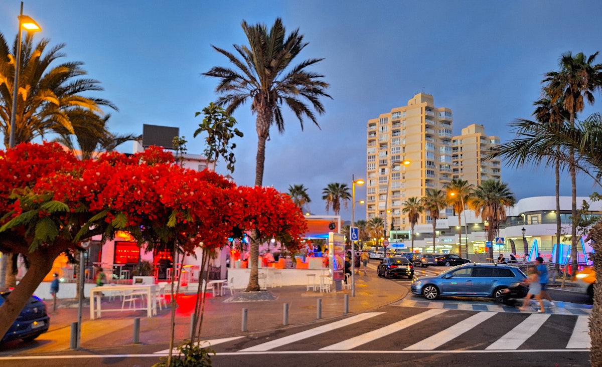 Ocean_Panorama_Apartment_in_Playa_de_Las_Americas_Tenerife_nightlife_tenerife_veronicas