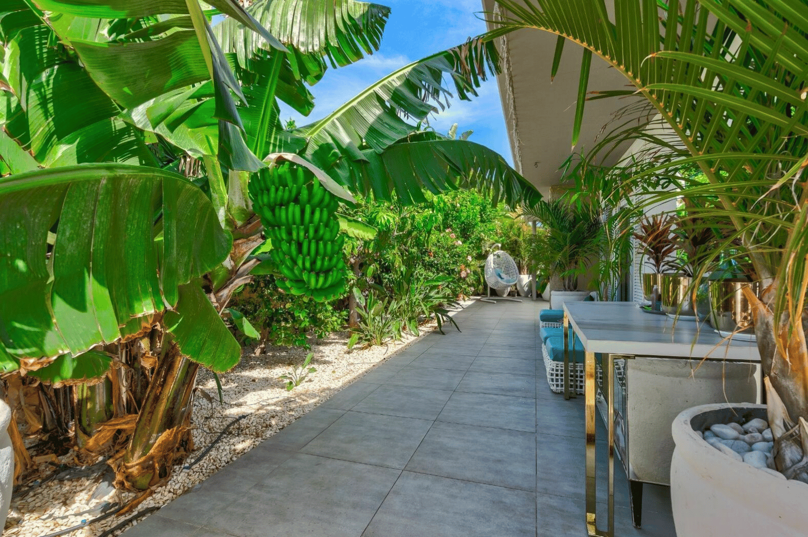 Torviscas_Alto_Luxury_4_bedroom_villa_tenerife_garden_bananas
